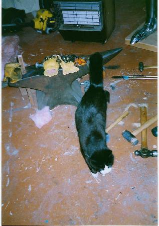 Always interested in what's going on